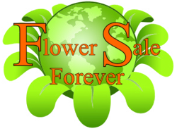 FlowerSale Forever